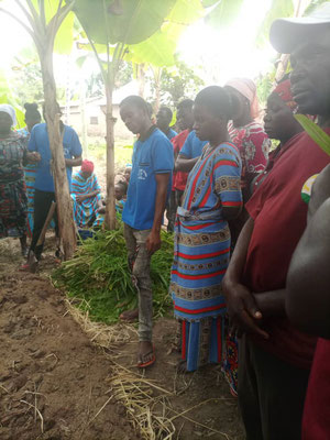 Agriculture Projects